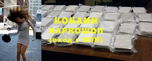 тгк Абаза